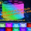 Đèn LED Dây 100m 2835 Đôi 7 Màu