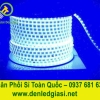 Đèn Led Dây Cuộn 100m 220V Lõi Đồng Không Dây Dẩn 20cm Có Điểm Cắt ( Loại Tốt))