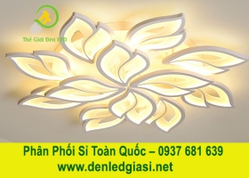 Đèn Mâm Ốp Trần MO-974-20 