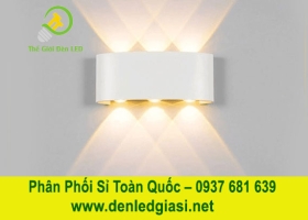 Đèn Vách Ngoài Trời VNT-620-19/Trắng 