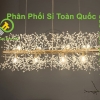 Đèn Chùm Pha Lê TPL71N900
